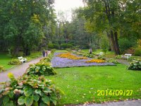 IMG 6889