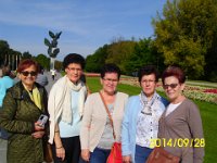 IMG 6977